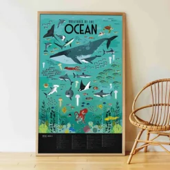 Poster et stickers Oceans