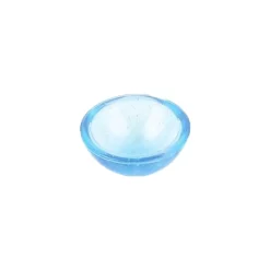Puce sauteuse bleu à paillettes