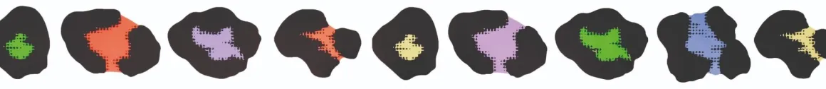 Rouleau de stickers léopard