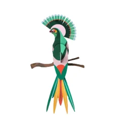 Trophée oiseau du paradis