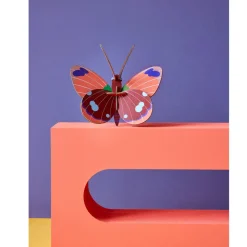 Trophée papillon Délias